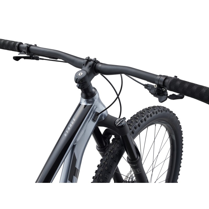 Giant Stance 29 2