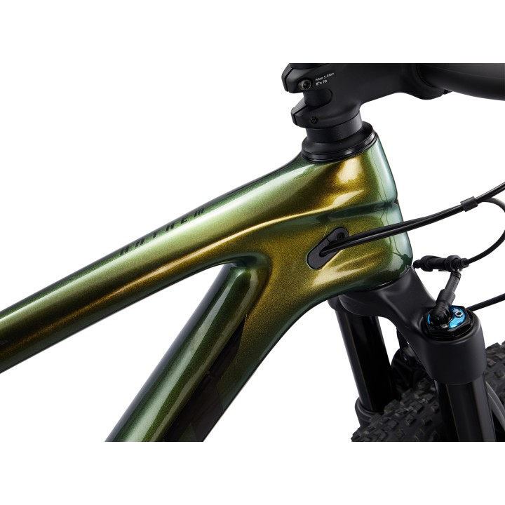 Giant Anthem Advanced Pro 29 1 | Spartan Sport
