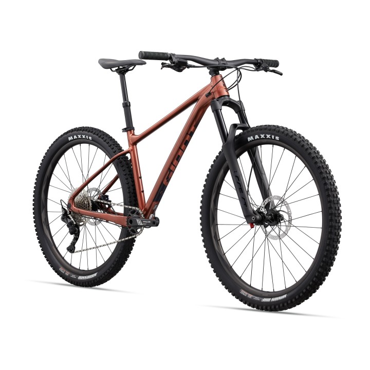 Giant Fathom 29 2