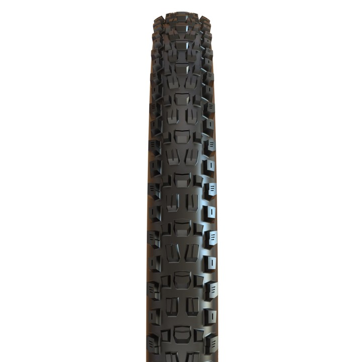 VANJSKA GUMA MAXXIS ASSEGAI 29×2,50 ASSEGAI WT 3CG/DH/TR 60X2F