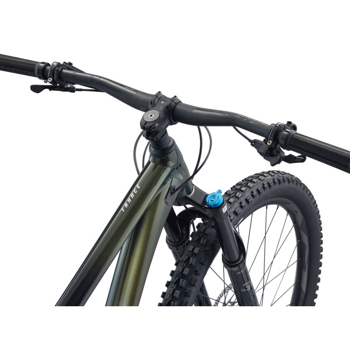Giant Trance 29 1