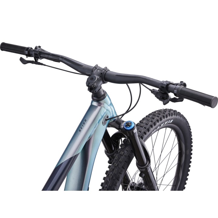 Giant Reign 1 2023 | Spartan Sport