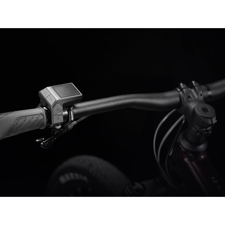 GIANT RIDECONTROL DASH 2IN1(LCD)/5V/CABLE 700MM CRNI