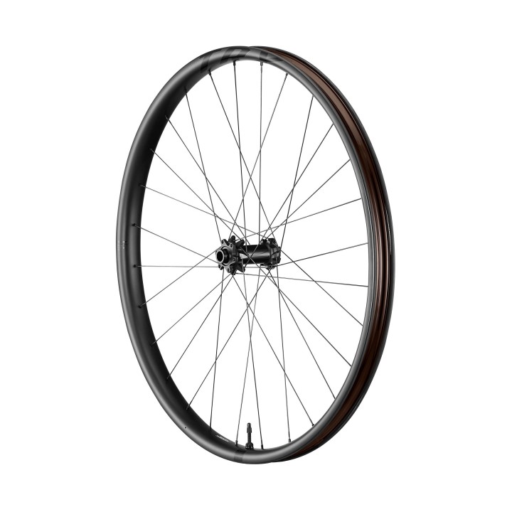 Giant Felga Trx 29 1 Boost Predjna Karbon | Spartan Sport