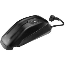 GIANT ENERGYPAK PLUS 250WH SA TORBOM