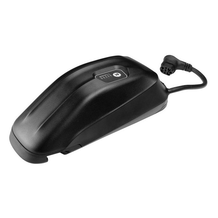 GIANT ENERGYPAK PLUS 250WH SA TORBOM