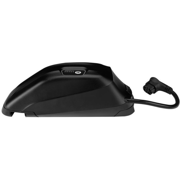 GIANT ENERGYPAK PLUS 250WH SA TORBOM