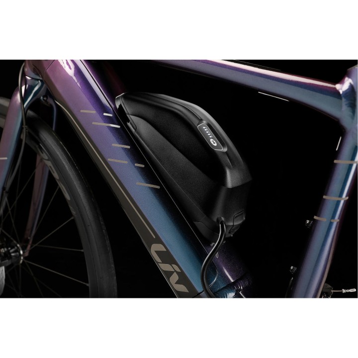 GIANT ENERGYPAK PLUS 250WH SA TORBOM
