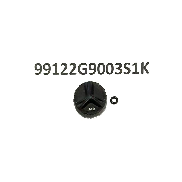 Giant CREST 34 SL Air spring cap