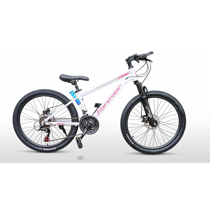 Forever 24" Mountain King