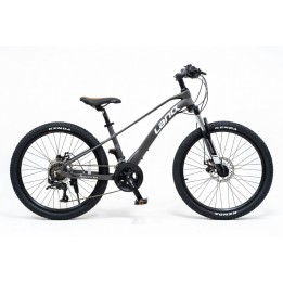 LANQ MG 24"