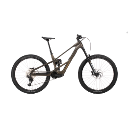 Orbea WILD LT M20