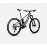 Orbea Wild H10