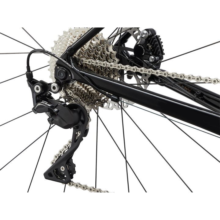 Giant Contend AR 1 | Spartan Sport